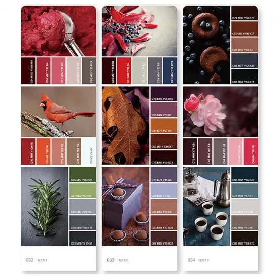 Color matching card